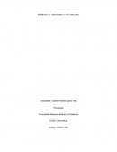 Identidad vs virtualidad