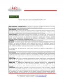 Renovacion de parador Turistico Cenote Zaci