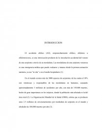 SÍNDROME COMPARTIMENTAL AGUDO COMO CONSECUENCIA DE OFIDISMO SEVERO A PROPÓSITO DE UN CASO. Página 4