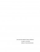 Proyecto maqueta plan de negocios