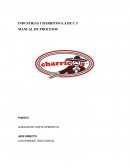 INDUSTRIAS CHARRITOS S.A DE C.V MANUAL DE PROCESOS