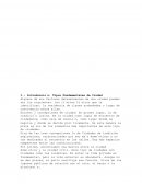 Obra civil: Tipos Fundamentales de Ciudad