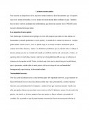 Relatoria la tierra como patria