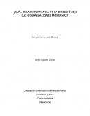 La importancia de la dirección en las organizaciones modernas?