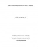 PLAN DE POSICIONAMIENTO DE MERCADO AGRICOLA SAN BENITO