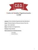 ESTRUCTURAS Y LAS ACCIONES SOCIALES