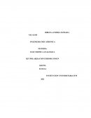 ELECTRONICA ANALOGICA