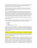 Caso Araucaria Flowers