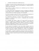 INTRODUCCIÓN MOLINO LAMBAYEQUE