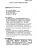 BREVE ENSAYO SOBRE DISEÑO DE REACTORES