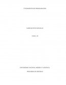 Programación orientada a objetos C++ y Java: un acercamiento interdisciplinario