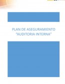 PAC auditoria interna
