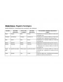 Registro Fonológico