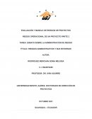 ENSAYO SOBRE LA ADMINISTRACIÓN DE RIESGO