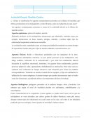 Actividad Grupal: Muebles Caobin Higiene