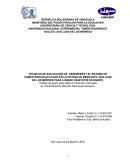 TESIS EVALUACION Y DESEMPEÑO