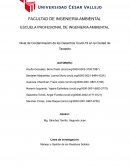 Nivel de Contaminación de los Desechos Covid-19 en la Ciudad de Tarapoto