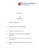 DESARROLLO DE LOS CUATRO INFORMES