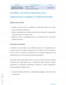 Actividad : Los centros educativos como organizaciones complejas y multidimensionales