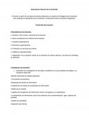 Investigación de mercados cuantitativa del consumo de Café en Yucatán