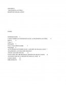 ECONOMIA MACROZONA AUSTRAL