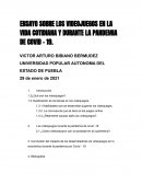 ENSAYO SOBRE LOS VIDEOJUEGOS EN LA VIDA COTIDIANA Y DURANTE LA PANDEMIA DE COVID - 19