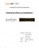 Finanzas Corporativas “ Empresa San Pedro y su Competencia ”