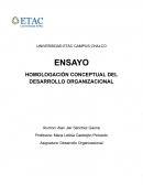 HOMOLOGACIÓN CONCEPTUAL DEL DESARROLLO ORGANIZACIONAL