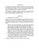 Aplicaciónes Industriales (sensores y actuadores)