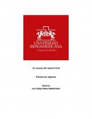 Primer avance practicas