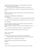 El funcionamiento cerebral de los/as niños/as con necesidades especiales