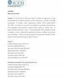 Organizaciones de alto riesgo