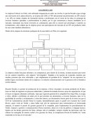 ANALISIS DE CASO empresa Unilever en Chile