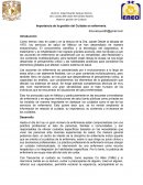 Importancia de la gestión del Cuidado en enfermería