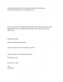 EVALUACIÓN DEL COMPORTAMIENTO SÍSMICO DE VIVIENDAS RURALES DE MATERIAL RÚSTICO CON REFORZAMIENTO ESTRUCTURAL DE MALLAS METÁLICAS