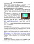 La iniciativa emprendedora