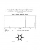 Interpretación de Espectros Raman-Hidrocarburos Aromáticos y Polímeros con Grupos Funcionales Aromáticos