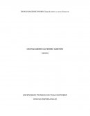 ENSAYO MACROECONOMIA Tasas de interés y sector financiero
