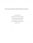 Desafíos y Oportunidades de la Alfabetización Digital y la Educación STEM