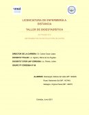 TALLER DE BIOESTADÍSTICA ACTIVIDAD N°2