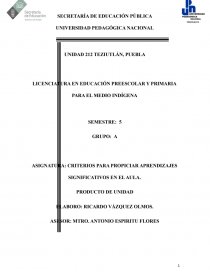 ASIGNATURA: CRITERIOS PARA PROPICIAR APRENDIZAJES SIGNIFICATIVOS EN EL AULA. Página 1