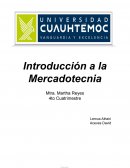 Introducción a la Mercadotecnia Buñuelos aL