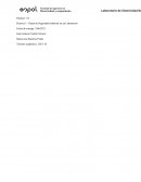 Informe de seguridad de laborarotio de electricidad