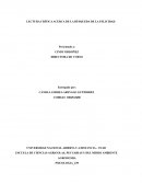 LECTURA CRÍTICA ACERCA DE LA BÚSQUEDA DE LA FELICIDAD