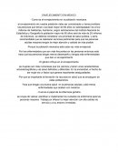 Envejesimiento en el adulto mayor