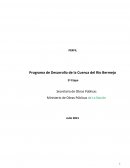 Programa de Desarrollo de la Cuenca del Río Bermejo