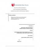 INFORME FINAL DE PRACTICAS PRE PROFESIONALES TERMINAL I REALIZADO EN LA EMPRESA AGRO PROTECCIÓN ADVICE E.I.R.L.