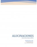 Ensayo de alucinaciones