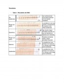 Análisis de resultados Sin sustancia