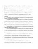 El rol de la universidad